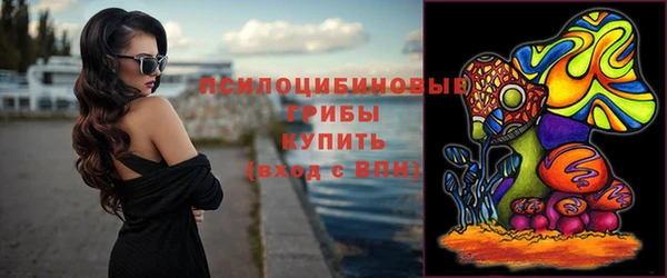 твердый Богданович