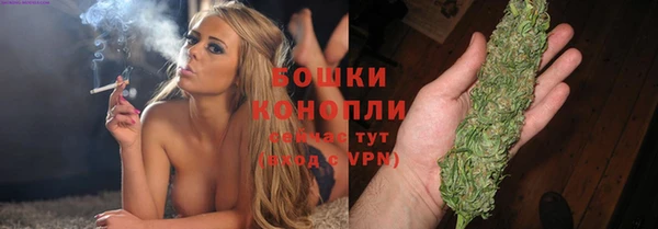 твердый Богданович
