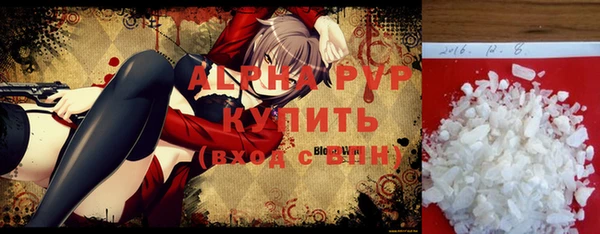 твердый Богданович