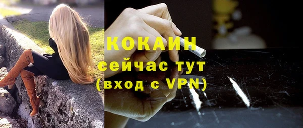 твердый Богданович