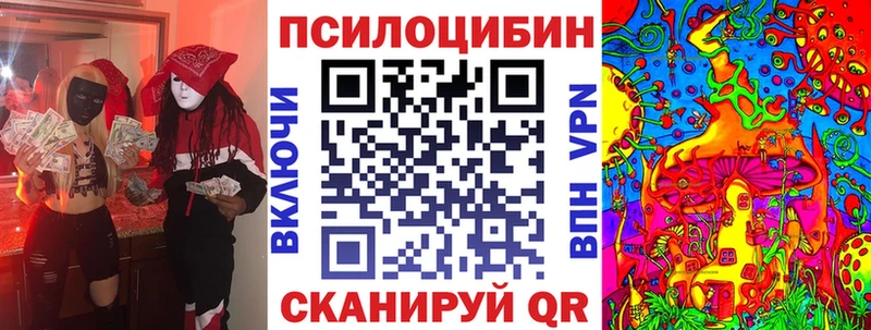 наркота  Абакан  Псилоцибиновые грибы Cubensis 