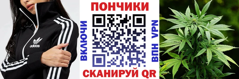 Шишки марихуана сатива  Абакан 